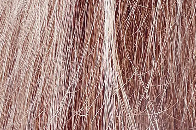 LIVRE «Restons-en là»