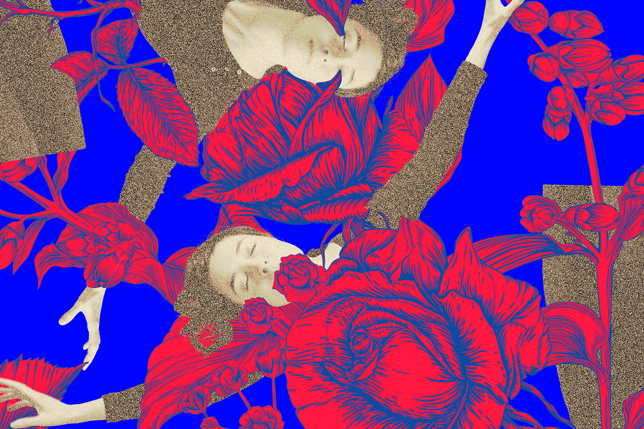 Brochure et programme