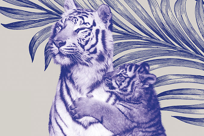 Brochure 48 pages offset