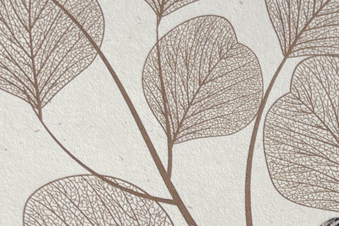 Carton d'invitation pour l'exposition Amstutz